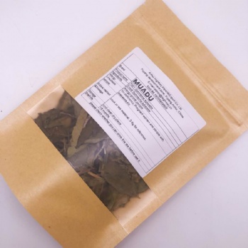 Gymnema sylvestre Schult