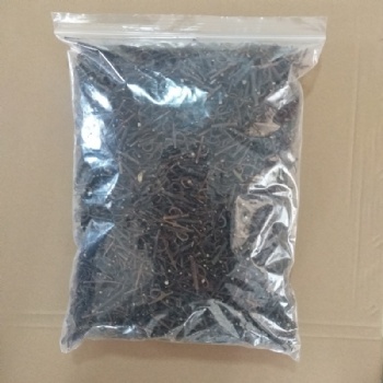 Uncaria