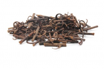 Uncaria
