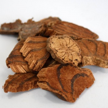Millettia reticulata