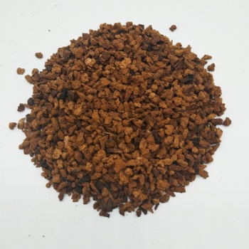 Chaga mushroom