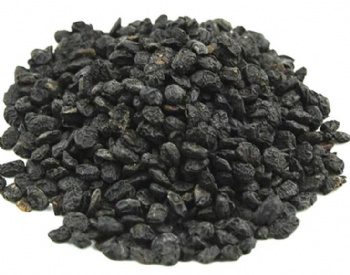 Fermented Soybean