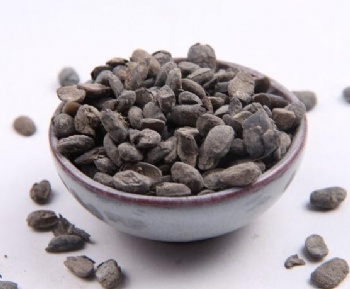 Fermented Soybean