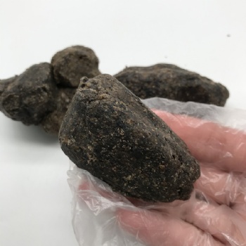 Propolis