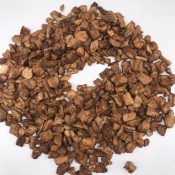 Chicory Root