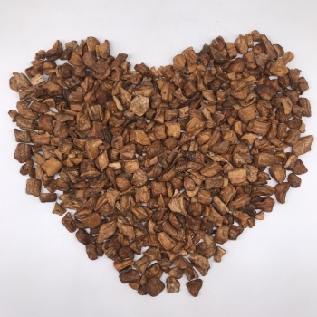Chicory Root