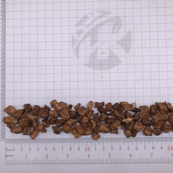 Chicory Root
