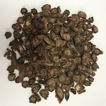 Salvia Miltiorrhiza