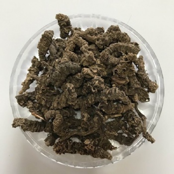 Valeriana Root