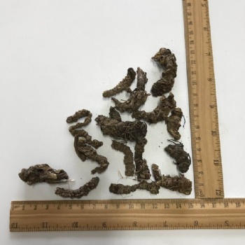Valeriana Root