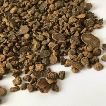 Rhizoma Corydalis