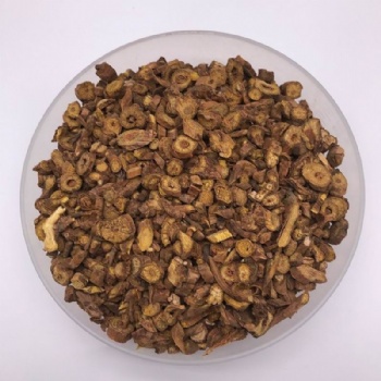 Scutellaria Baicalensis
