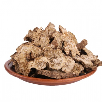 Rhizoma Atractylodis