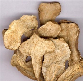 Rhizoma Atractylodis