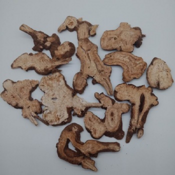 Rhizoma Atractylodis Macrocephalae