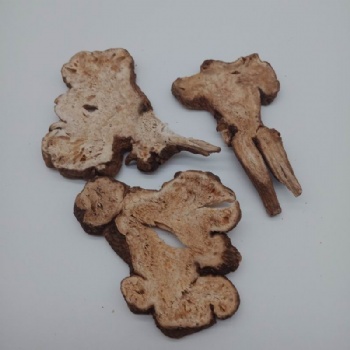 Rhizoma Atractylodis Macrocephalae