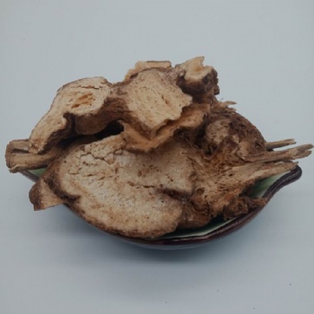 Rhizoma Atractylodis Macrocephalae